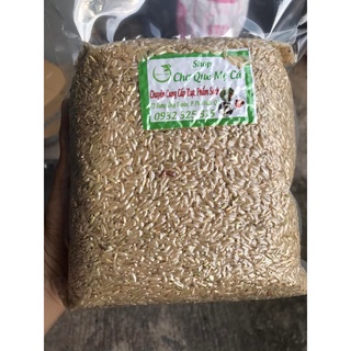 Gạo lứt trắng, Gạo nguyên cám gạo hữu cơ ( 1 kg hút chân không) cho người tiểu đường, tim mạch, ăn kiên