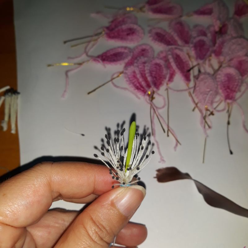 Nhụy hoa mai, hoa đào , nhị xanh