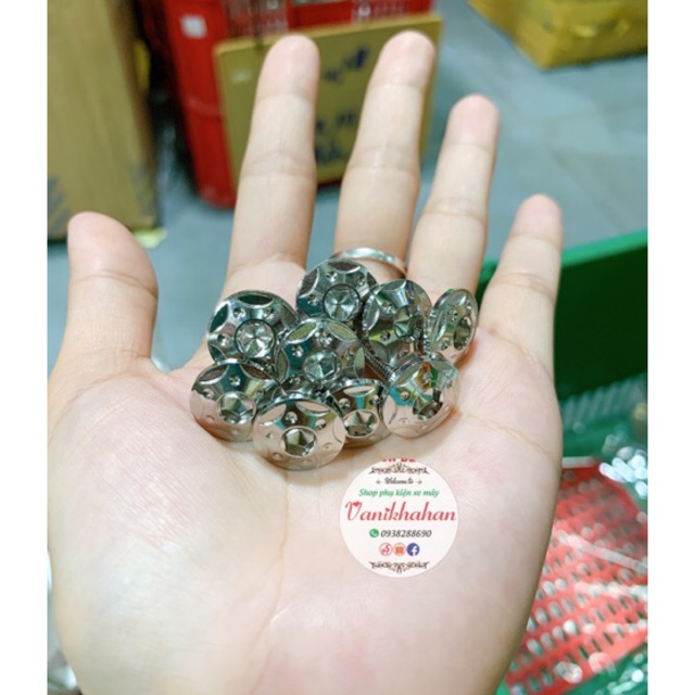 Ốc 5ly2 ngôi sao bi