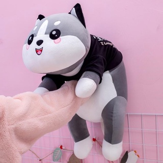 Gấu bông mèo husky, thú bông mèo husky, mèo bông xám dễ thương lông nhung mềm mịn