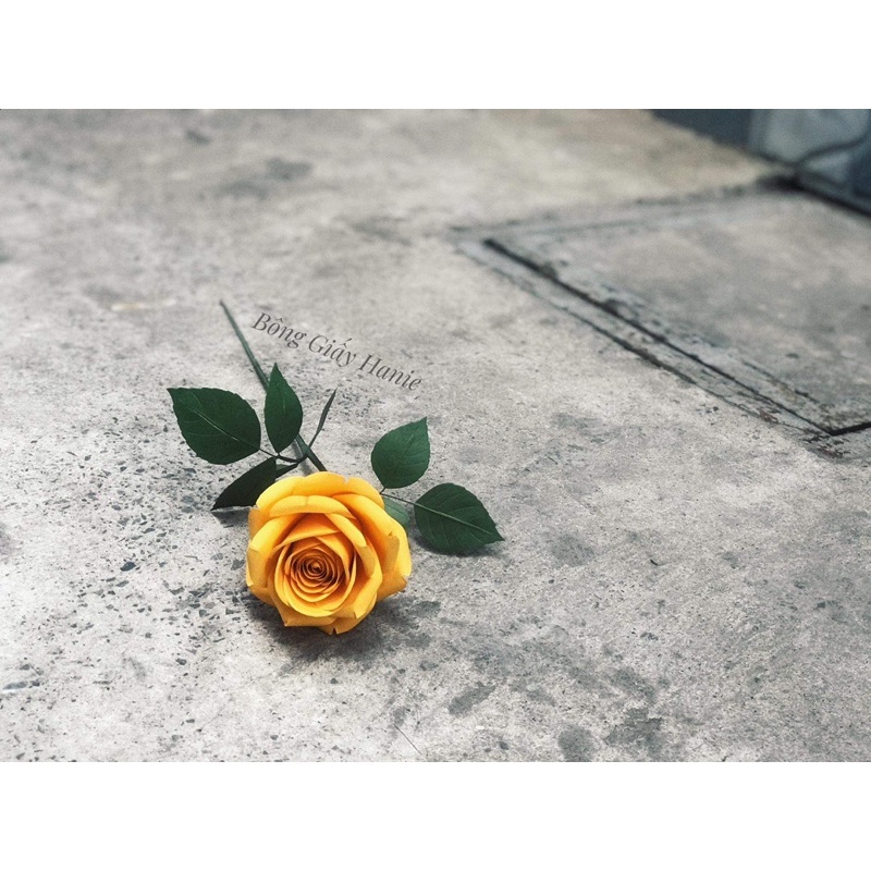 Set 3 khuôn cánh hoa H305 , size hoa thành phẩm 8 cm