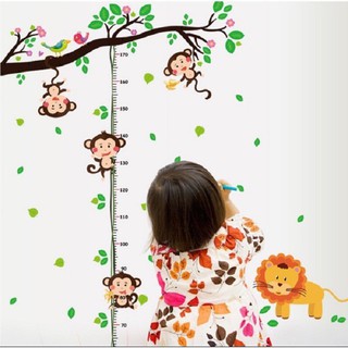 Decal đo chiều cao khỉ hươu sư tử