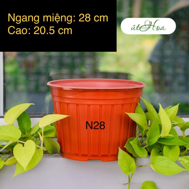 [ SLl giá rẻ]  Chậu nhựa nâu N28 (28x20.5 cm) trồng cây loại lớn