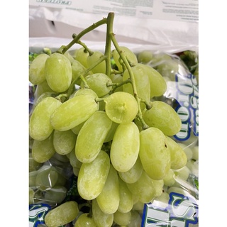 Nho xanh Mỹ Sugar Drop