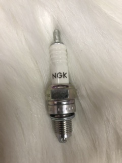 Bugi NGK C5HSA