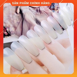 MÓNG ÚP HÀN FORM THANG BỊCH 600 MÓNG