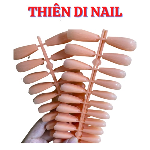 Móng up thạch sơn sẵn tiện dụng, móng tay giả sơn sẵn màu thạch Thiên Di Nail