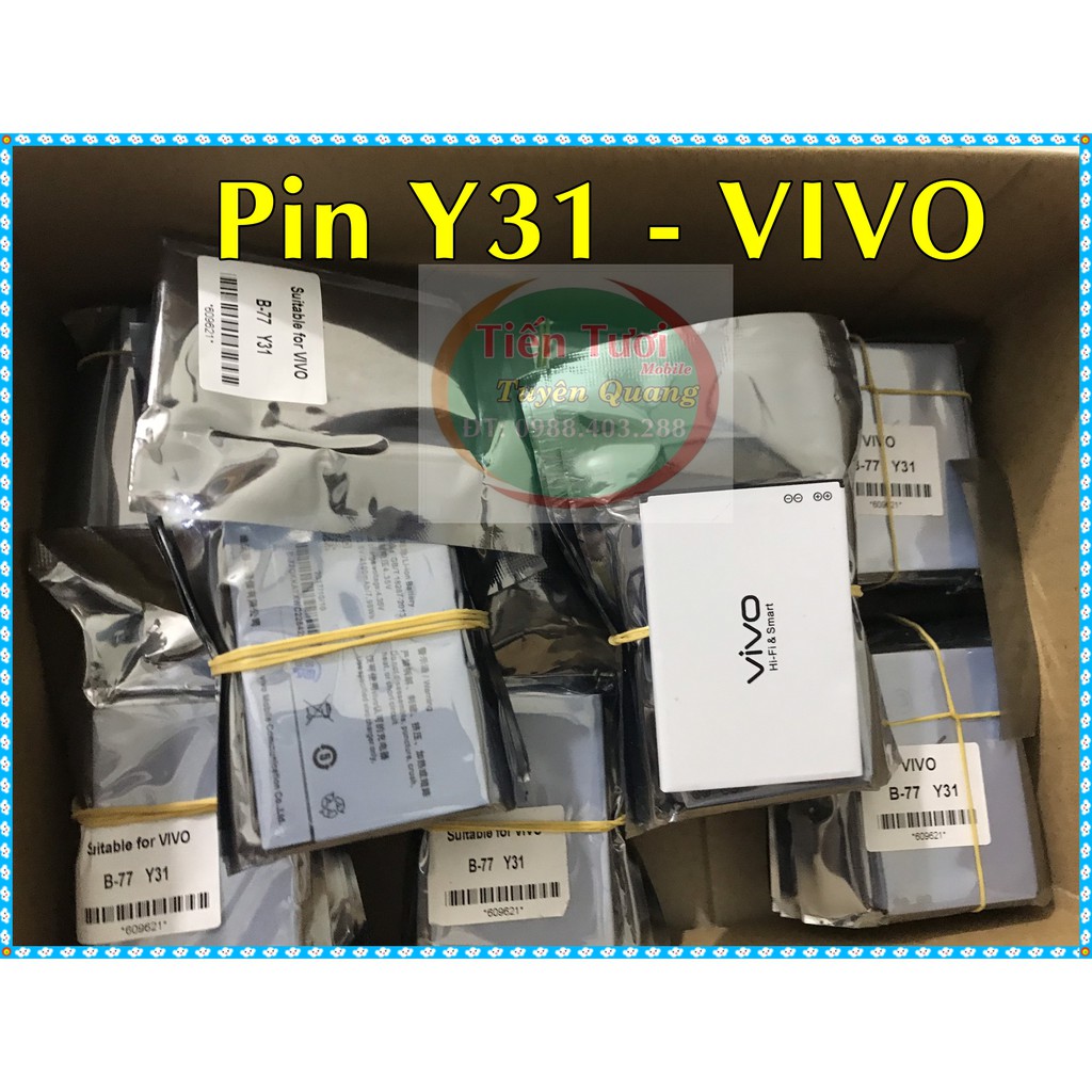 Pin Y31 VIVO