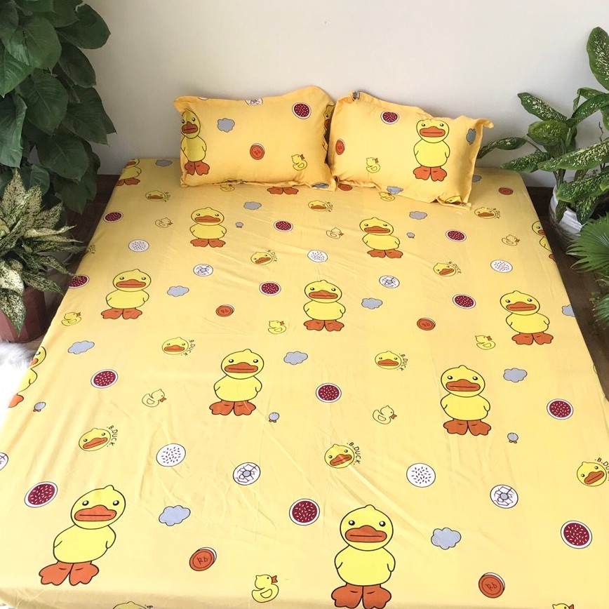 Bộ ga gối poly cotton Dương Xỉ Hồng đủ kích thước