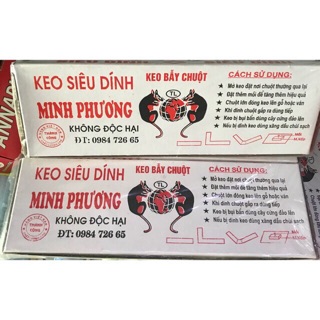 ✅ [ CHẤT LƯỢNG ] Keo dính chuột 🔰