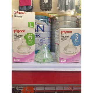 Núm ti thay thế Pigeon nội địa Nhật (giá 1 núm)