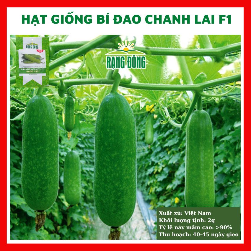 Hạt giống bí đao chanh lai F1 ngon ngọt - rau củ quả chịu nhiệt bốn mùa tỉ lệ nảy mầm cao 0.2gr RADO 1331