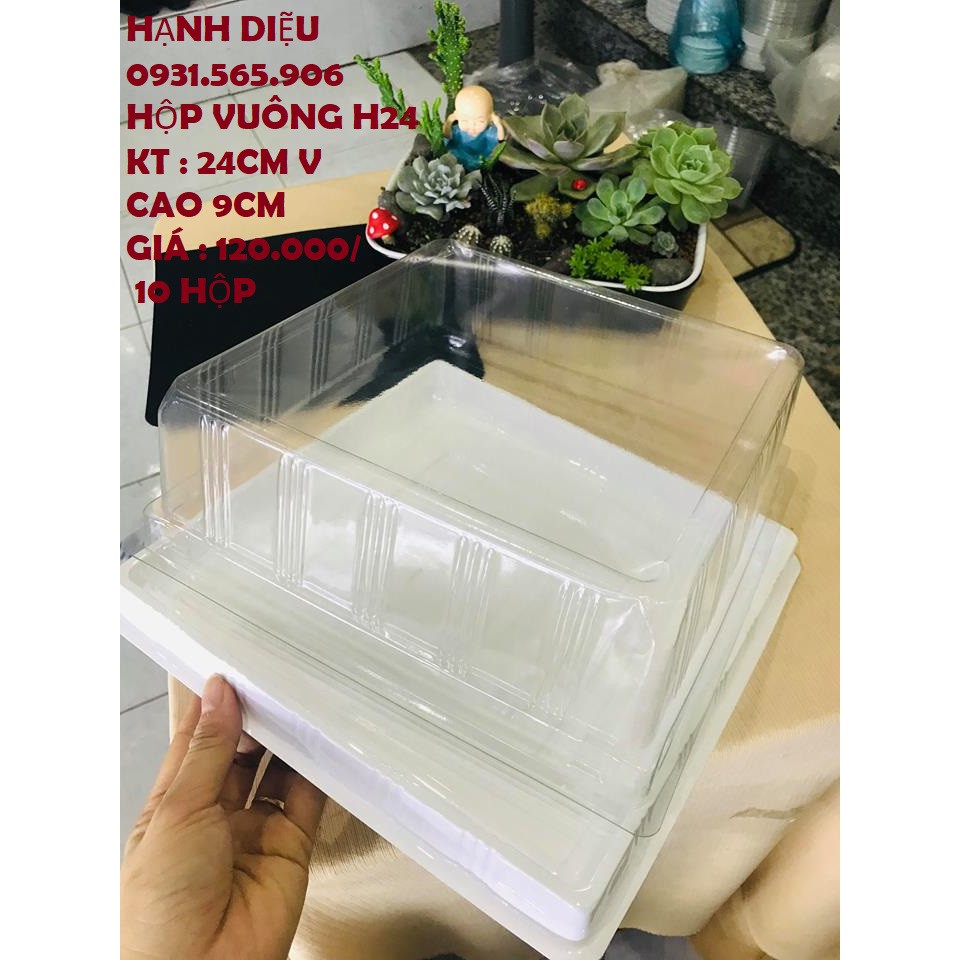 Hộp Nhựa Đựng Bánh Set 10 Hộp  23Cm Vuông LỌT LÒNG