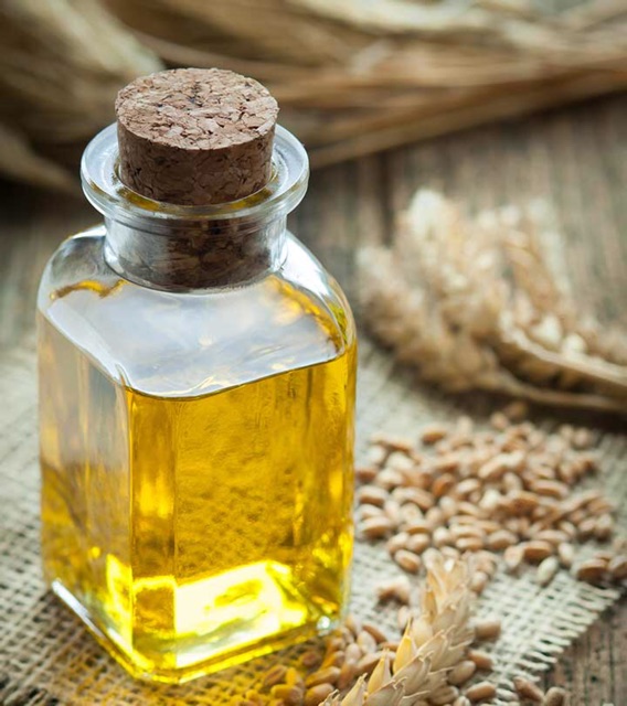DẦU MẦM LÚA MẠCH  - 20ml