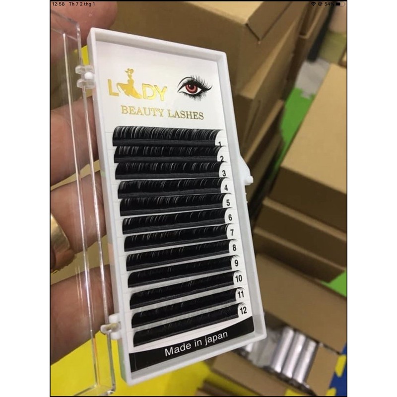 Mi lady đủ số và độ cong