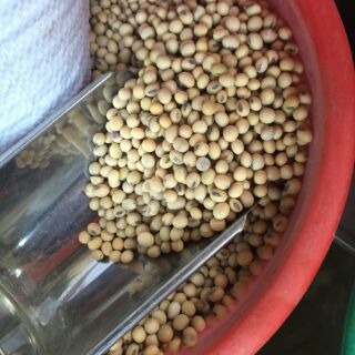 Đỗ tương 1kg