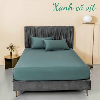 GA GỐI LỤA TENCEL 60S  3 món