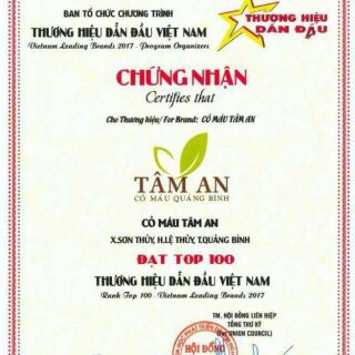 Cỏ máu Tâm An Quảng Bình