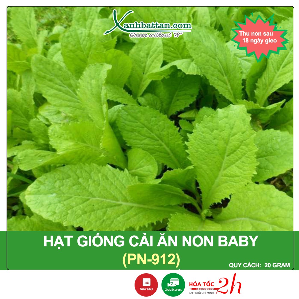 Hạt Giống Cải Ăn Non Baby Phú Nông Gói 20 Gram