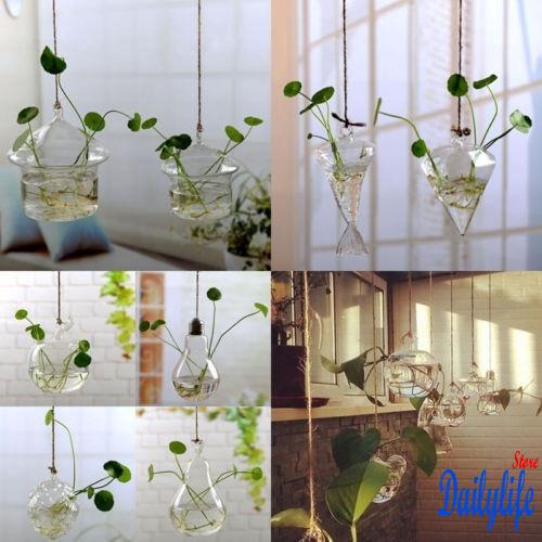 Lọ Hoa Thủy Tinh Dạng Treo Dễ Thương Để Trang Trí Nhà