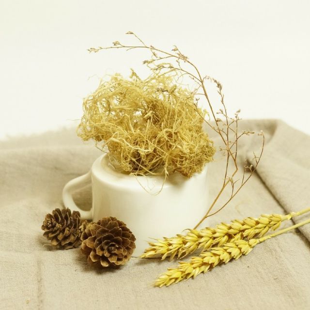 300gr Rong biển nấu xu xoa. Rau câu chỉ vàng. Rong biển làm gỏi