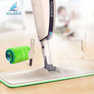 Bông lau của cây lau sàn đa năng