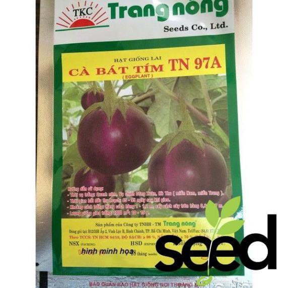 1G - Hạt Giống Cà Bát Tím