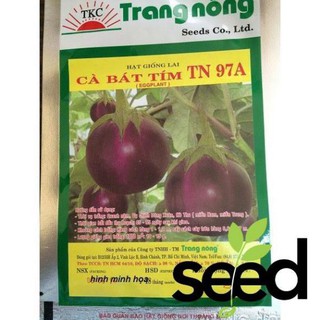 1G - Hạt Giống Cà Bát Tím