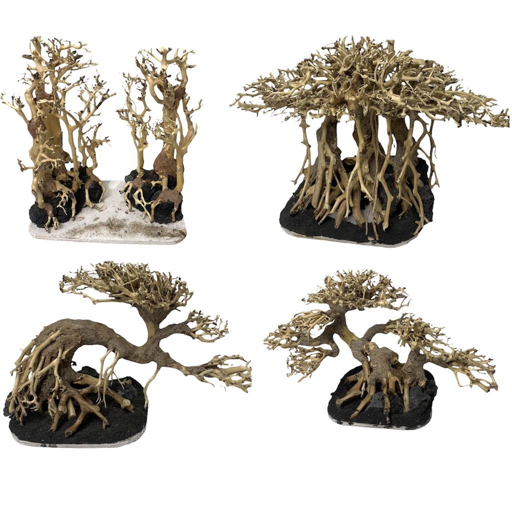 [NHẬN QUÀ KHI MUA ĐƠN 39K] Cây Bonsai Thuỷ Sinh Đã Tạo Dáng Và Ghép Đá - Bonsai Trang Trí Hồ Cá, Bể Cá