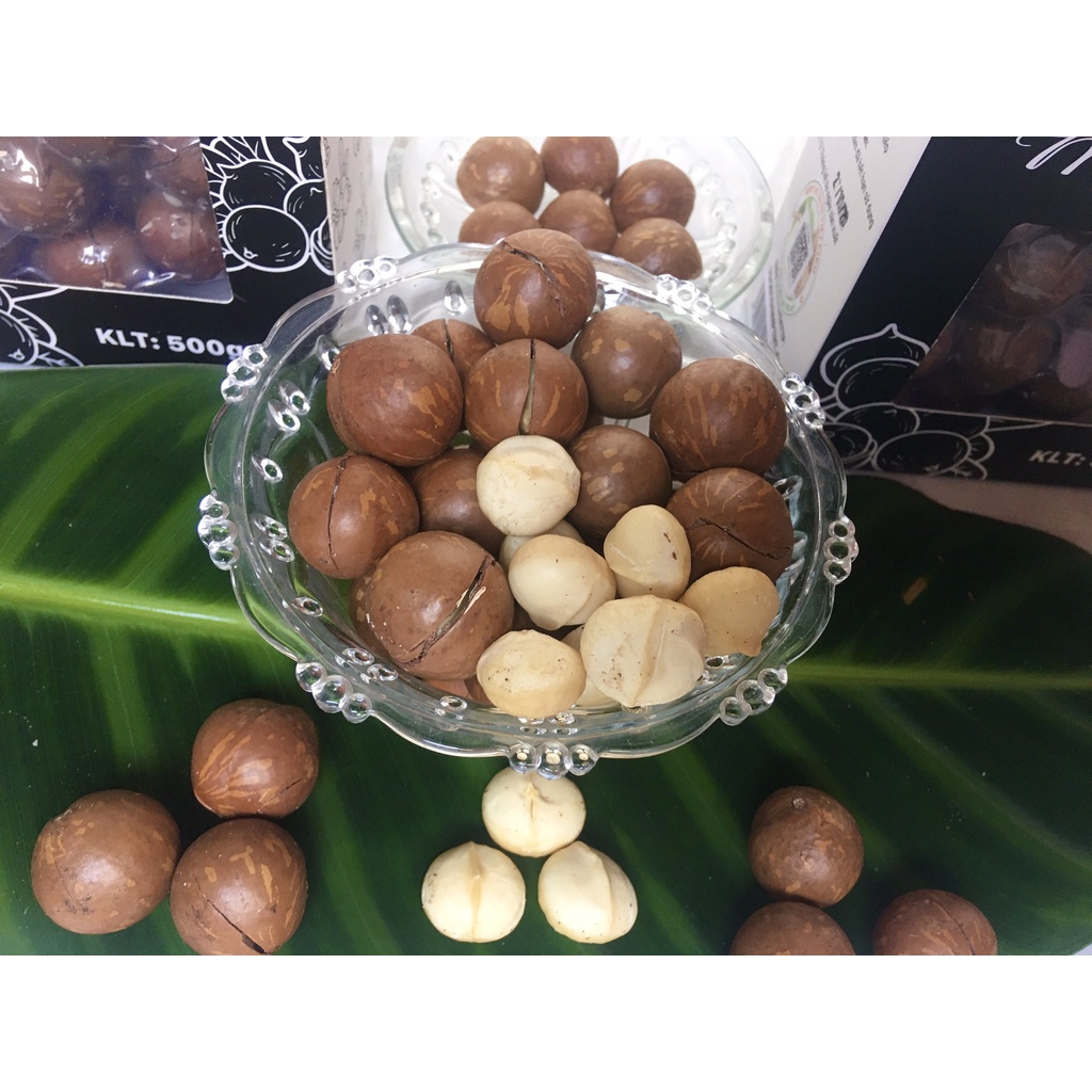 HẠT MACCA DAKLAK-1000GR