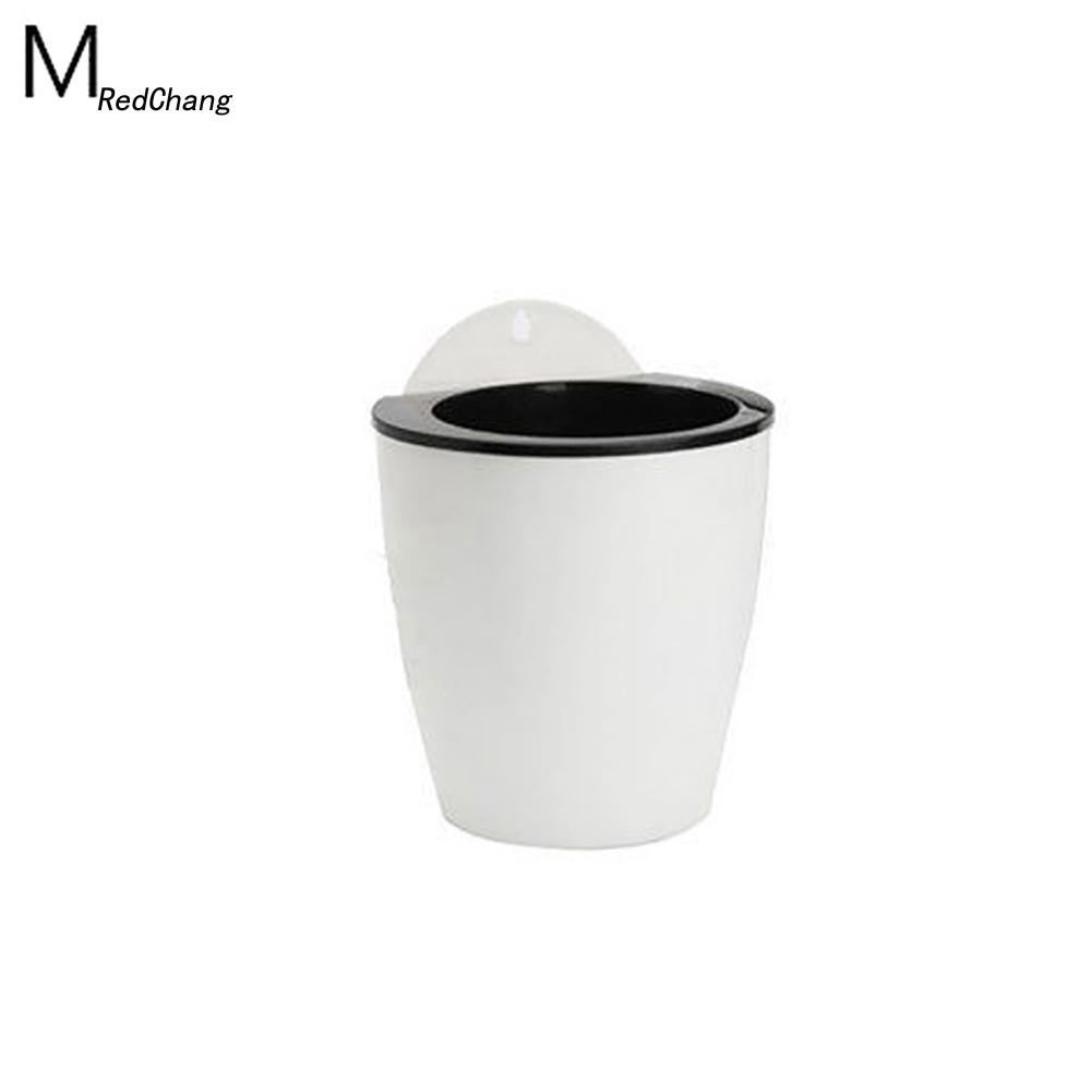 Chậu hoa hút nước treo tường sáng tạo