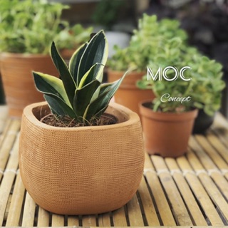 Chậu Đất Nung Vuông Bầu Kẻ Tay.