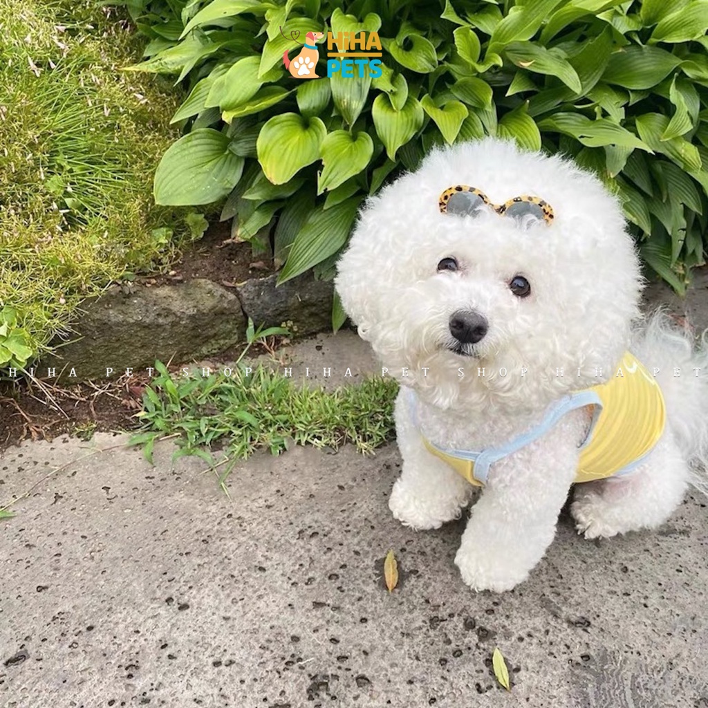 Áo Thun Cho Chó Mèo Ba Lỗ Mùa Hè Dễ Thương Mát Mẻ 2022, Quần Áo Thú Cưng Thiết Kế Hàn Quốc Hiha Pets.