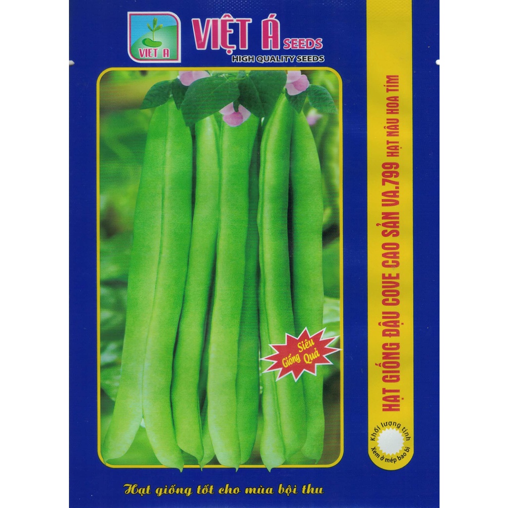 Hạt giống Đậu cove cao sản VA.799 hạt nâu hoa tím 20g, 50g,100g