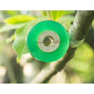 Bộ dụng cụ ghép cành cây đa năng