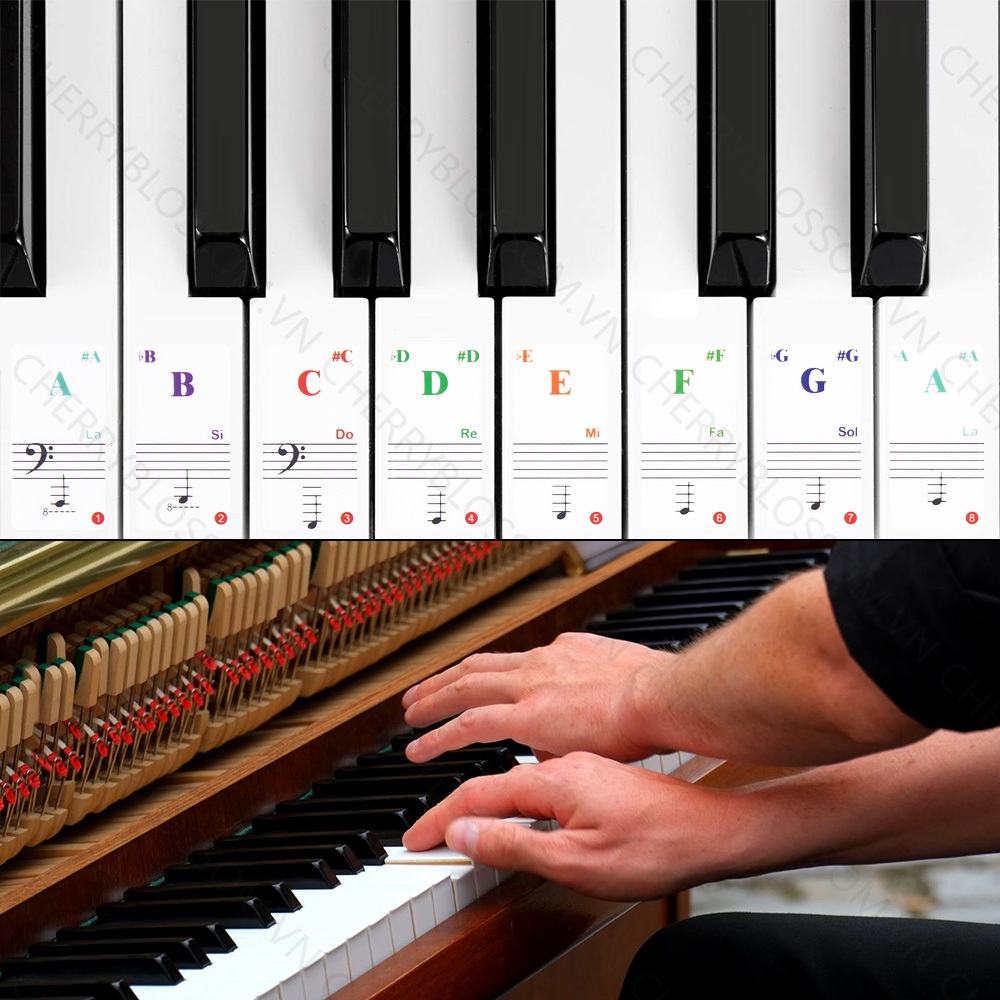 Miếng Dán Phím Đàn Piano Trong Suốt Loại 88 / 61 / 54 / 49 / 37 / 32 Phím Tiện Dụng