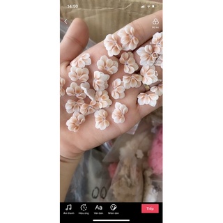 hoa bột nail mã T