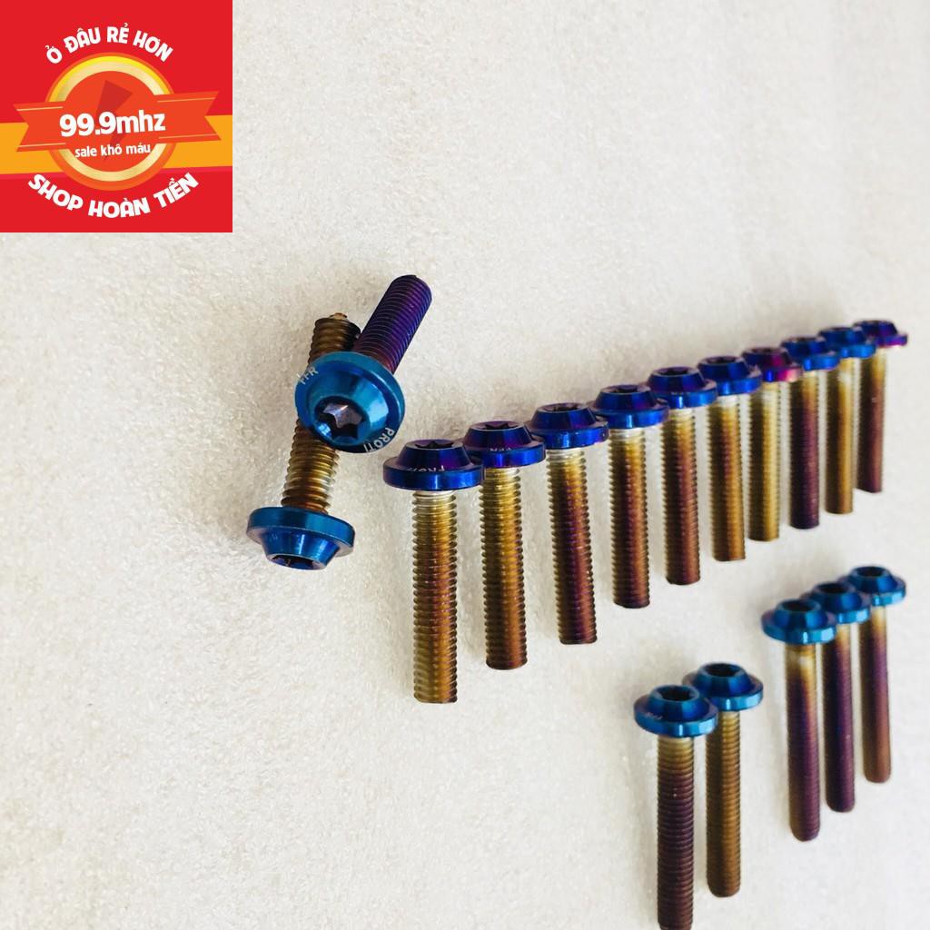 Bộ Ốc Lốc Máy Proti Titan Cho Wiiner 150 V1 17 Con