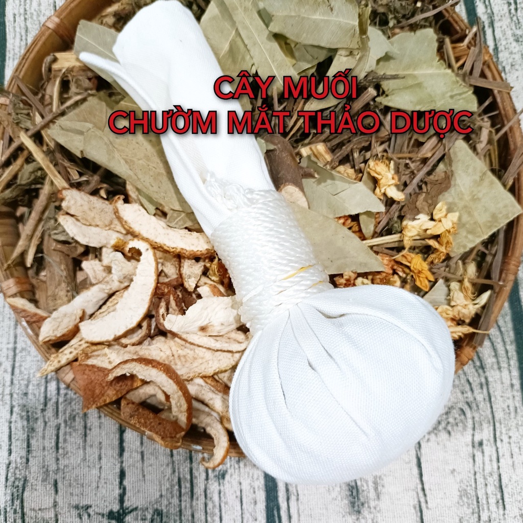CÂY MUỐI CHƯỜM MẮT THẢO DƯỢC