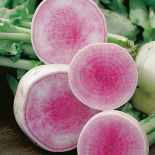 1g Hạt Giống Củ Cải Trắng Hồng Dễ Trồng