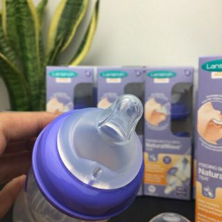 Bình sữa Lansinoh mOmma 160ml/240ml (chính hãng)