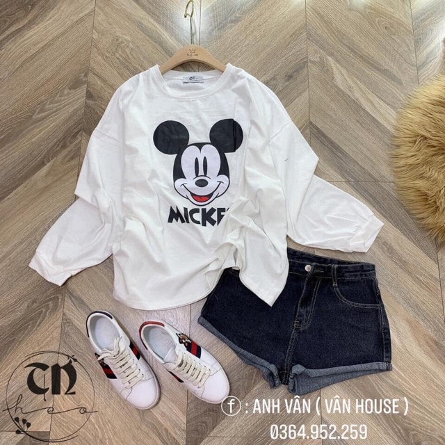 Áo nỉ mickey 4 màu