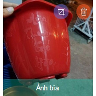 Combo 25 chậu bí lớn in nôỉ