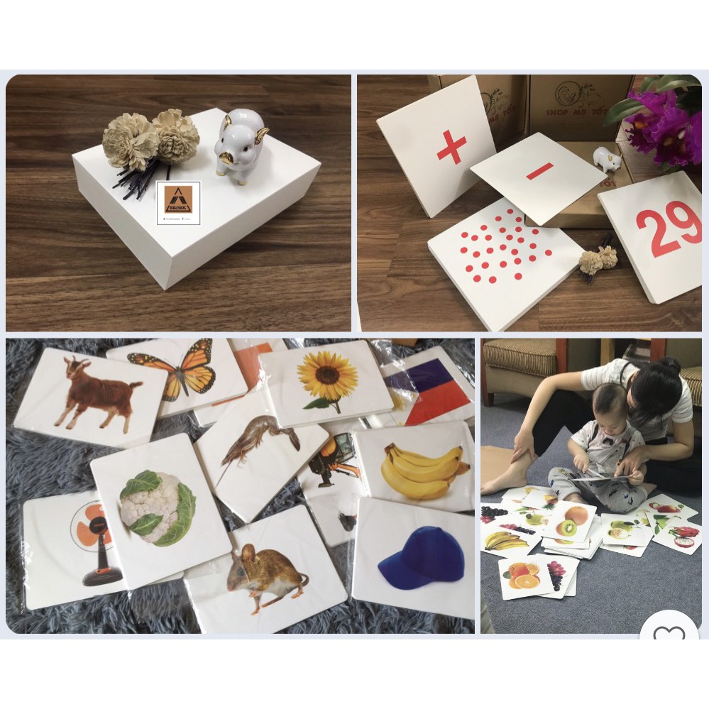 Thẻ flashcard cho bé - Combo cơ bản, Tặng 1 bút Dạ