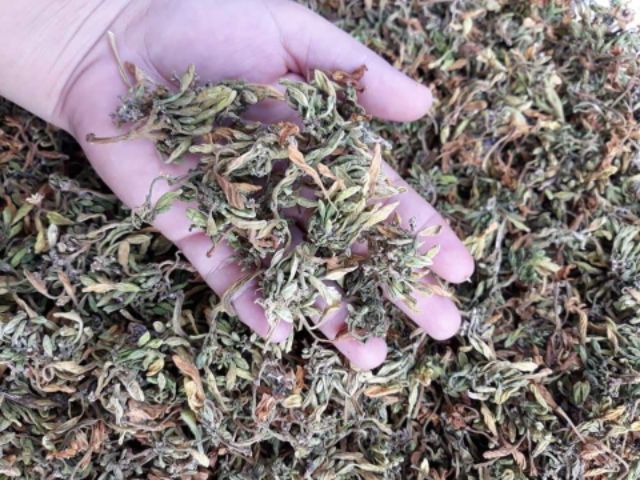 300g Hoa đu đủ đực sấy khô sạch sẽ