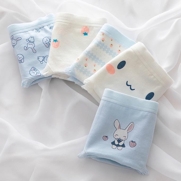 [Giá sỉ] Quần Lót Cotton Hình Thỏ - Dâu Cute Tông Xanh Xinh Xắn