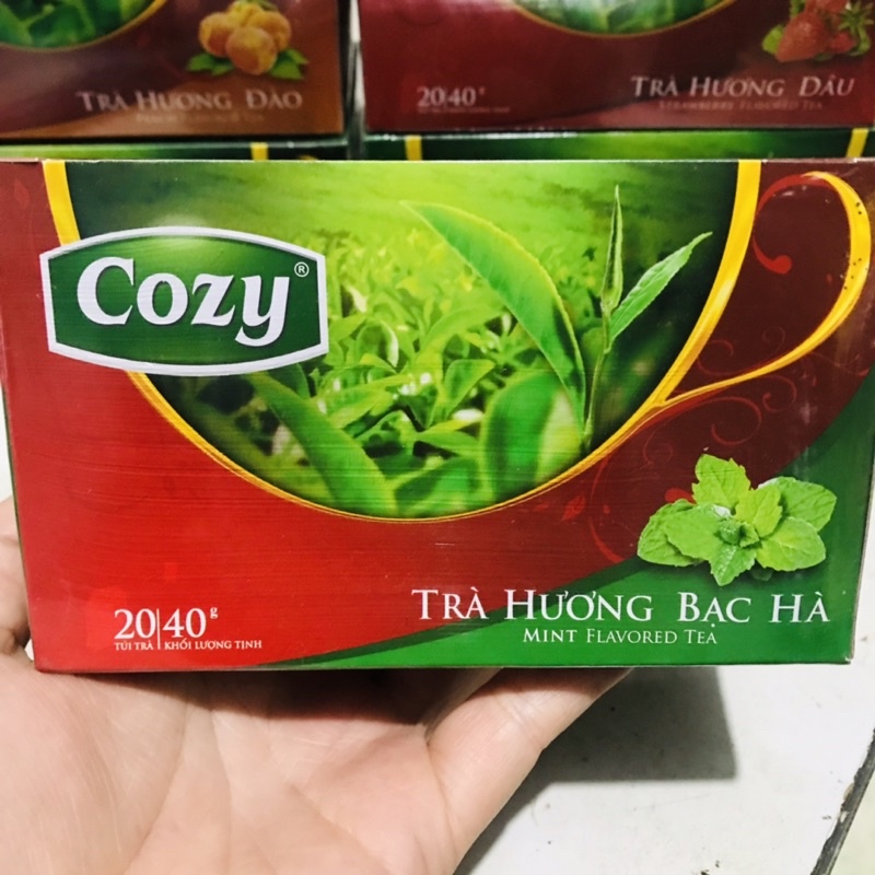 Trà Cozy Túi Lọc Đào/ Dâu 20 gói