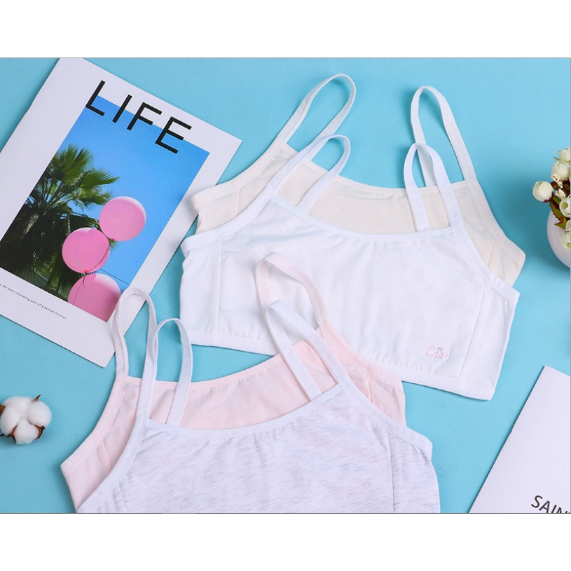 Quyển Tạp Chí Chụp Ảnh Sản Phẩm Đẹp, Báo Chụp Hình Thời Trang, Dụng Cụ Trang Trí Studio - HoHi Decor