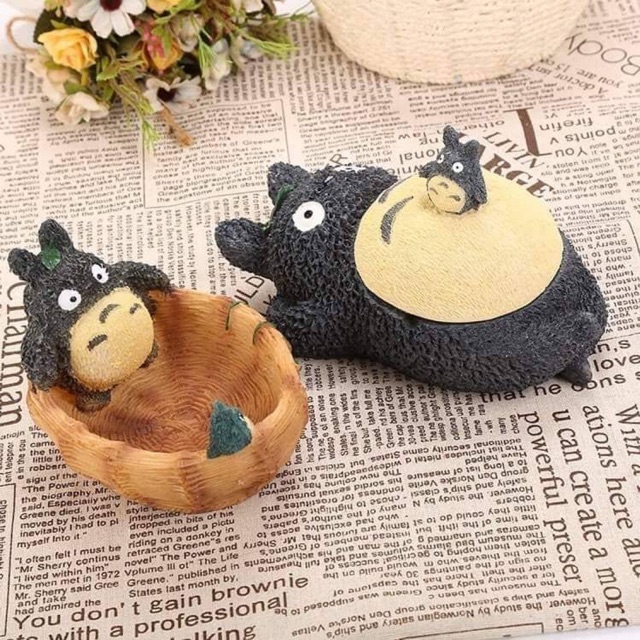 Chậu sen đá totoro
