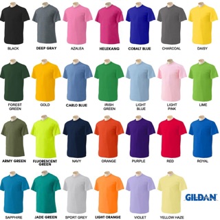 Áo thun cotton Gildan premium